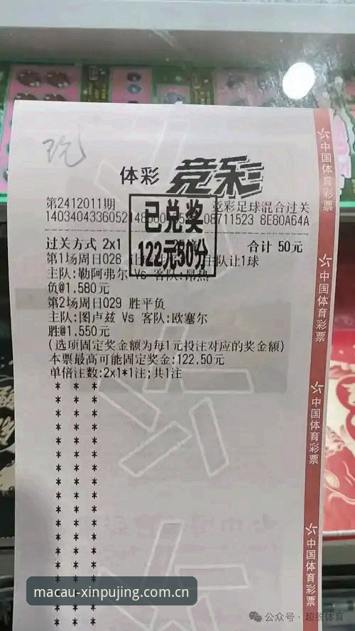 新莆京平台实用指南：彩票投注替代站怎么选才不踩坑